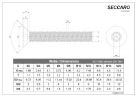 SECCARO Senkschraube M6 x 60 mm, Edelstahl V2A VA A2, DIN 7991 / ISO 10642, Innensechskant, 20 Stück